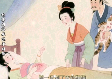 狸猫换太子的历史真相：一场“替身”引发的王朝续命传奇