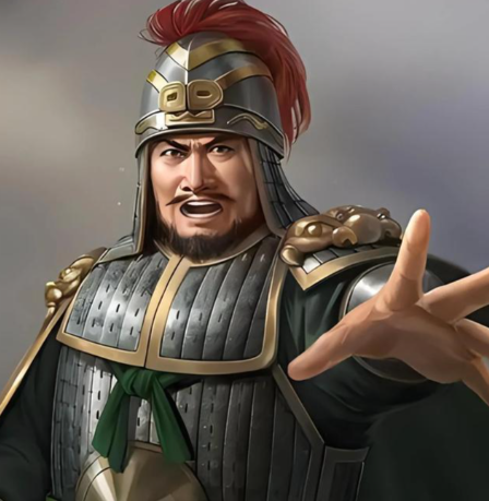 蜀汉柱石张翼:从地方太守到左车骑将军的沉浮人生