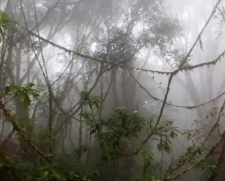 崔造贬谪考辨:岭南流放传闻的真相与历史语境