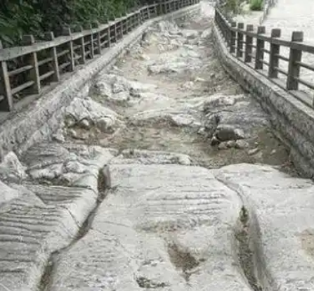 秦驰道:大一统王朝的交通脊梁