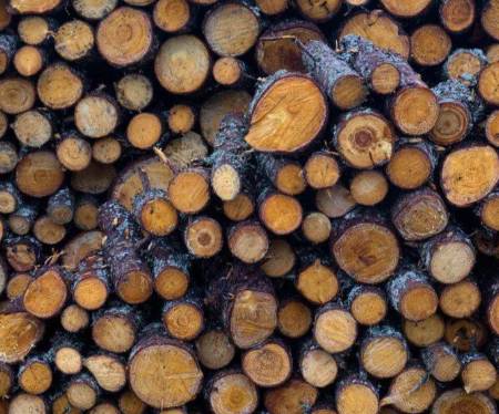 柴火为先：解码古代生存的“能源密码”