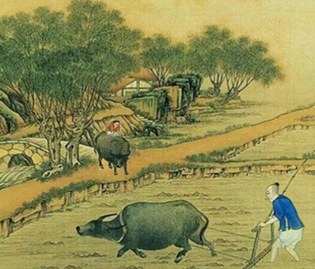 古代粮食亩产：从刀耕火种到精耕细作的千年跨越