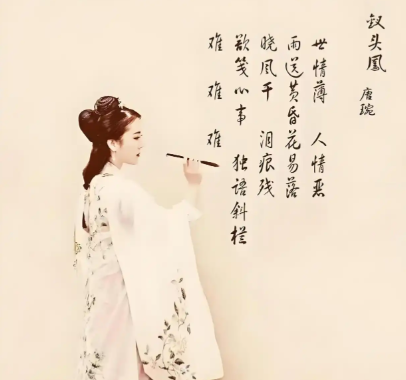 唐婉为何难倾心于赵士程:封建枷锁下的情感困境与人性挣扎