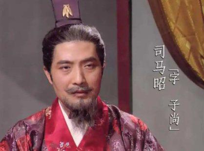 司马昭:弑君污名下的一代权臣