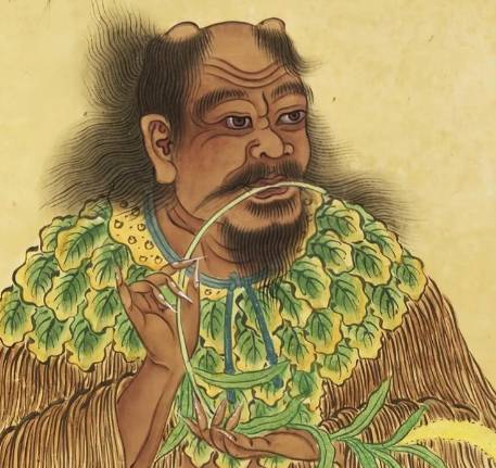 神农:以身试百草,躬耕启文明--华夏农耕与医药的源头传奇
