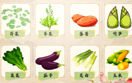 千年田畴里的匠心：本土蔬果品种的漫长改良之路