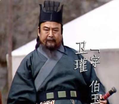 卫瓘平乱巴蜀显奇谋,晚节不保陷政变