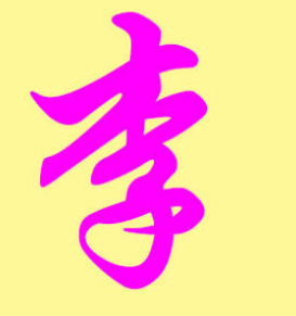 李大师
